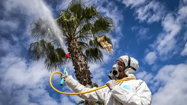 Коронавірус у теплих та вологих умовах