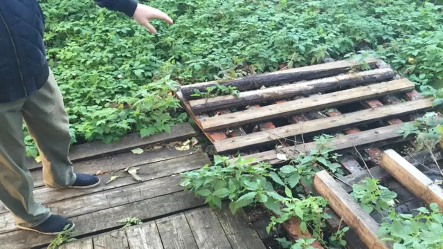 архангельск, архангельская область, аварийное жилье