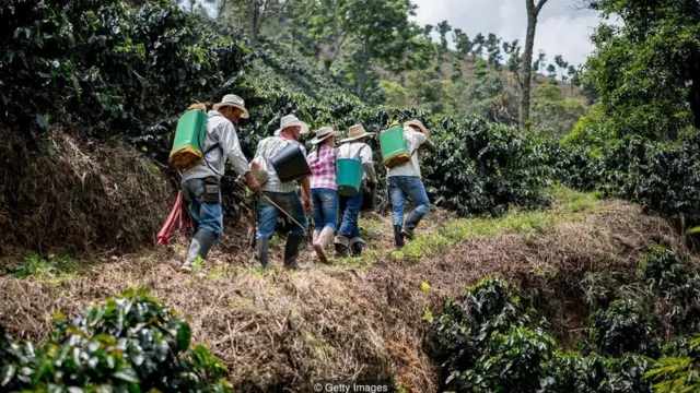 ट्रोलिंग