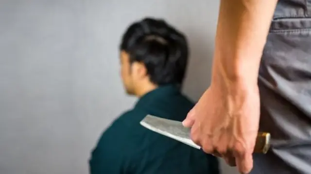 जापान , सुरक्षा