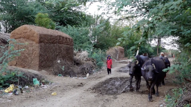 नूंह, पानी संकट