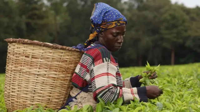 خمس دول تنقذ كوكب الأرض