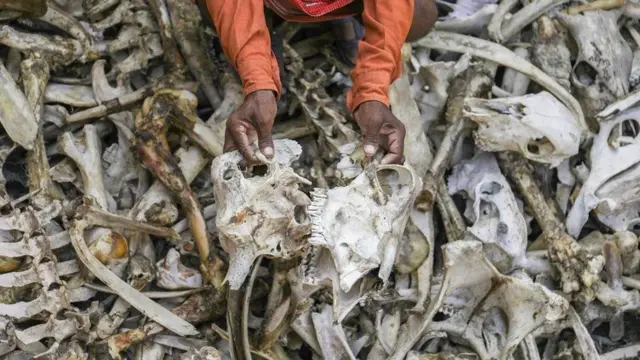 પ્રતીકાત્મક તસવીર