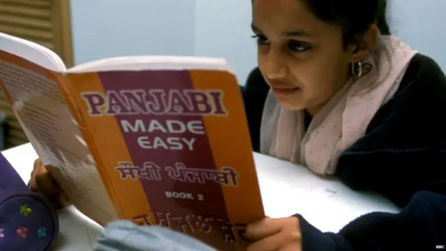 ਪੰਜਾਬੀ ਭਾਸ਼ਾ