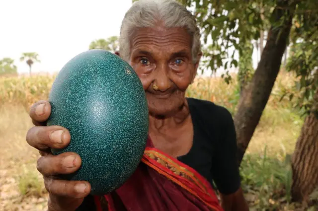 మస్తానమ్మ