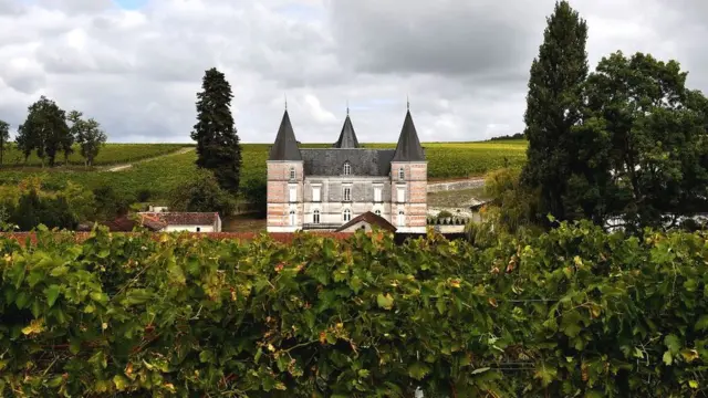 Замок в округе Коньяк