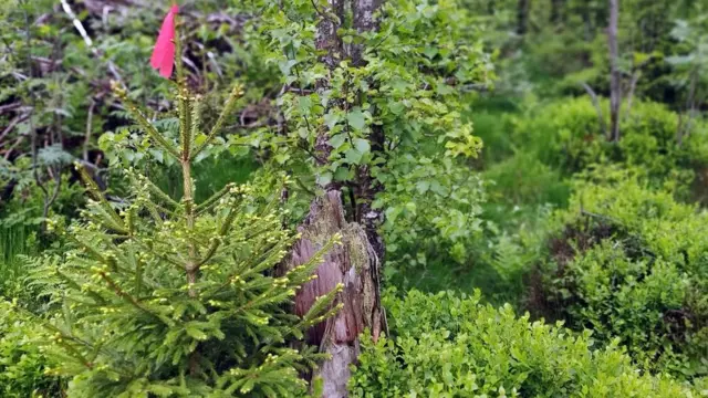 Perpustakaan masa depan.