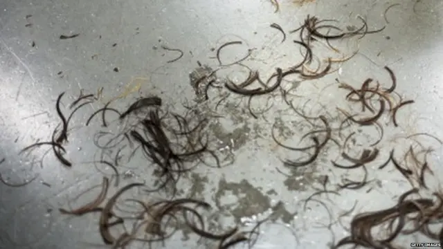 જમીન પર પડેલા વાળની પ્રતીકાત્મક તસવીર