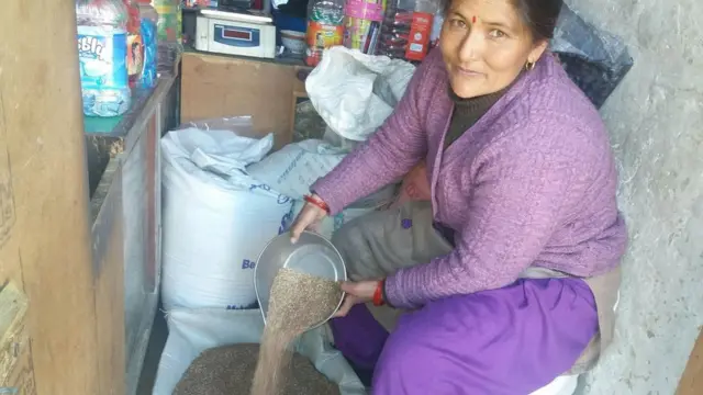 मार्सी चामल