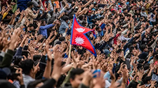 क्रिकेट