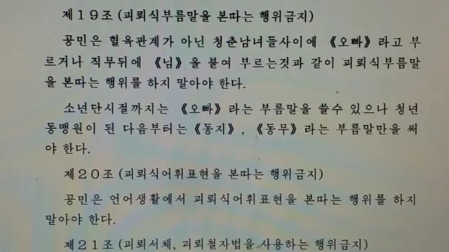BBC가 입수한 평양문화어보호법 원문 사진