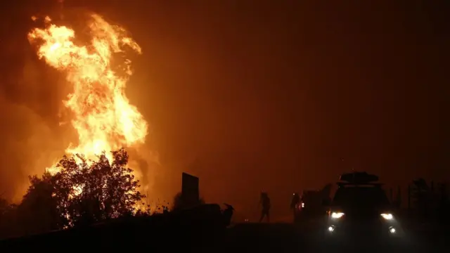 Лесные пожары в Греции