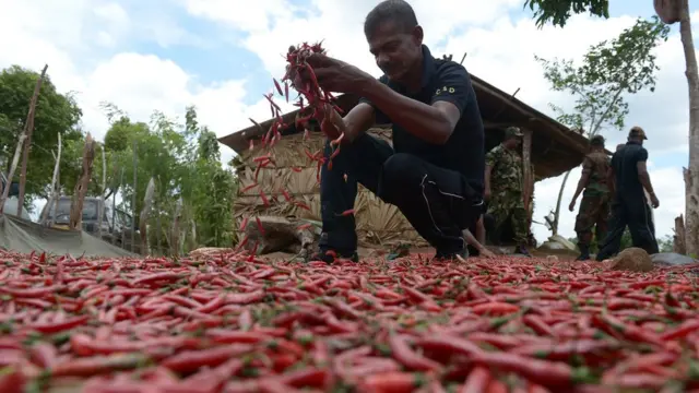 'ජීවය නැති සංවර්ධනය- අවසන ව්‍යසනයකි'