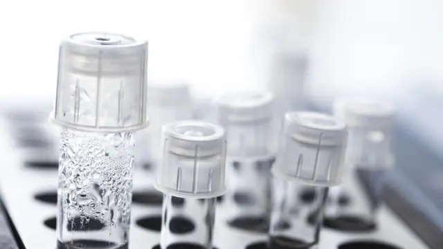 женские яйцеклетки