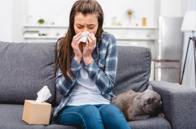 การที่คนเกิดอาการแพ้เมื่อเข้าใกล้แมว เป็นเพราะโปรตีนบางชนิดที่อยู่ในน้ำลายของแมว