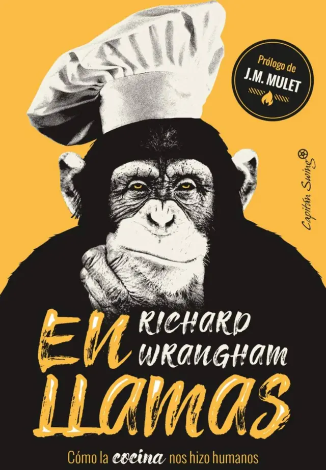 Portada del libro "En llamas".