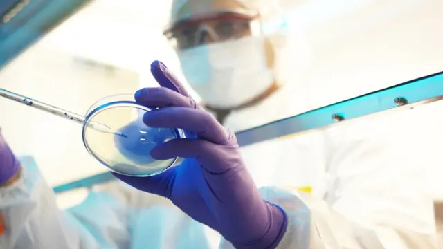 डीएनए सैम्पल जांच