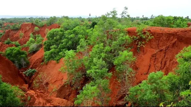 ఎర్రని రంగులో విస్తరించిన దిబ్బలు