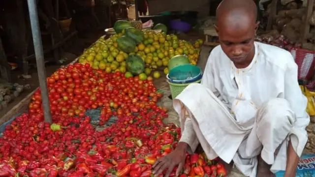 Masanin tattalin arziki ya ce wannan asara da dage abe ya jawo za ta shafi dukkan gwamnatin da ta lashe zaben da za a gudanar.