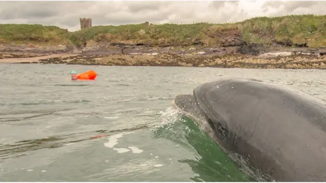 Нуала Мур на тренуванні
