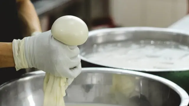 Công ty tự chế biến pho mat tại Đà Lạt.