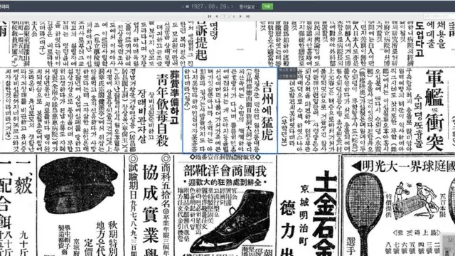 동아일보 1927년 8월 29일에 실린 길주 호랑이 피해 사례