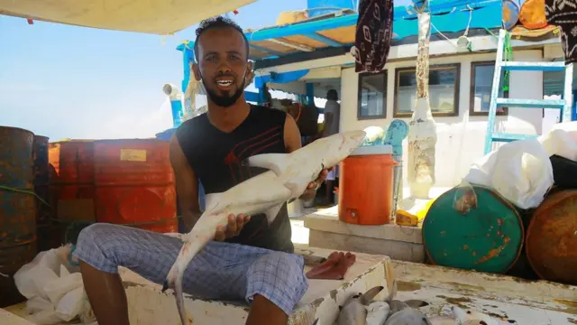 Xaamid waxa uu ku haminayay nolol qiimo leh dalka gudihiisa, wuxuuna jeclaa kheyraadka Soomaaliya