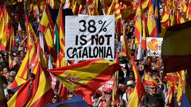 जनमत संग्रह