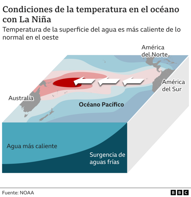 En Qu Se Diferencian El Ni o Y La Ni a Los Fen menos C clicos Que en-qu-se-diferencian-el-ni-o-y-la-ni-a-los-fen-menos-c-clicos-que