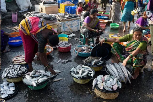 인도인들은 '비 채식' 식료품 중 생선을 가장 선호한다