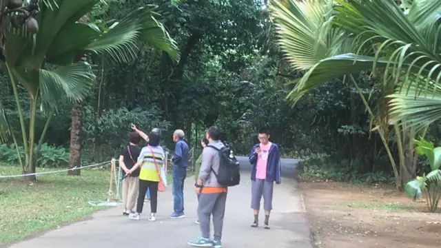 கண்டி கலவரங்கள்: சுற்றுலாத் துறைக்கு பாதிப்பா?#Groundreport