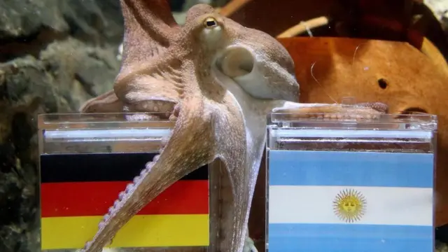 Восьминіг Пауль