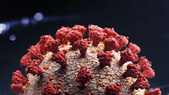 коронавірус