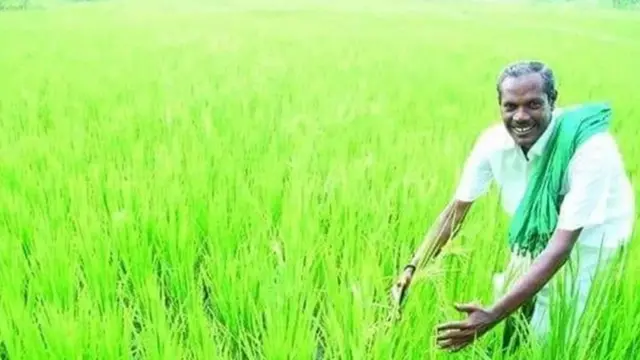 'பிளஸ் 2 தாவரவியல் பாடநூலில் இடம்பெற்றார் நெல் ஜெயராமன்'