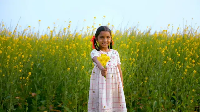 ਹਾਈਬ੍ਰਿਡ ਫ਼ਸਲਾਂ