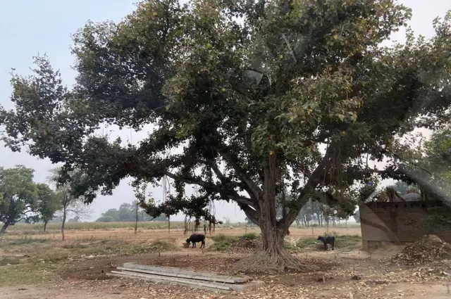 बेहमई गाव