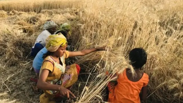 राजेंद्री देवी