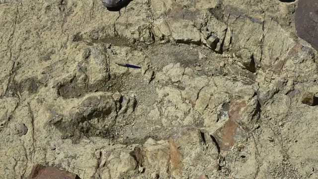 Слід динозавтра