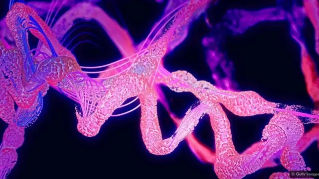 చార్లెస్ డార్విన్