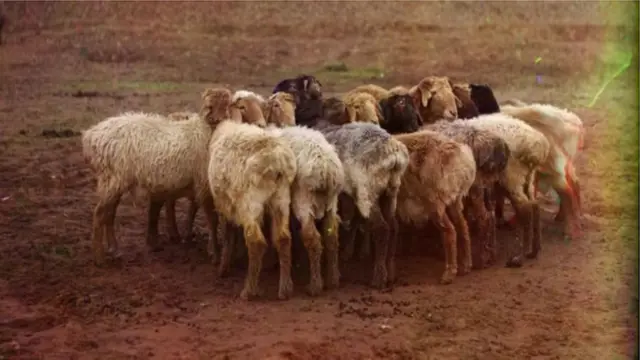 Фото Прокудина-Горского