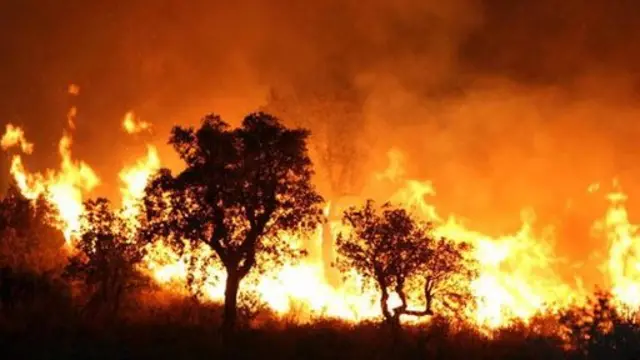 صورة أرشيفية