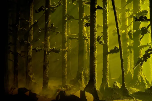 _111133732_cut_mariele-