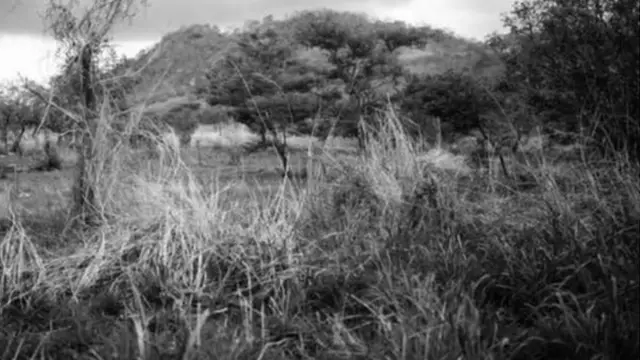 Ọkan lara aworan ti Mario Macilau ya