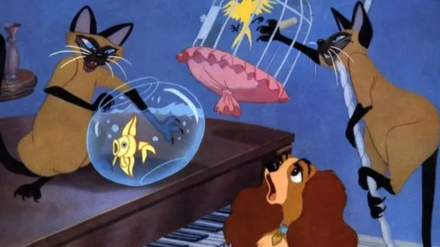 Lady and Tramp'teki Siyam kedileri olumsuz Asyalı tipleştirmesi içeriyor