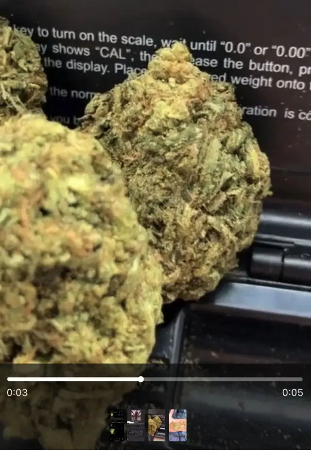 Расмий Гиёҳванд моддалар боғи (9,119 аъзо) Марихуана, марихуанали пишириқ ва ноқонуний вапларни сотади. Маҳсулотларнинг видеолари ва расмлари ҳамда мижозлар шарҳлари мунтазам равишда баҳам кўрилади.