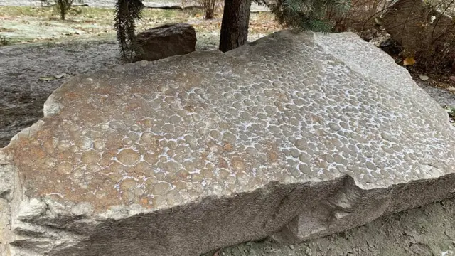 Плита з неміанами біля природничого музею