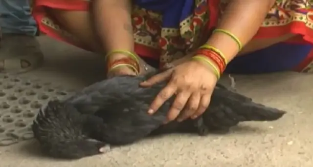 मध्य प्रदेश