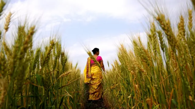 பெட்ரோல், டீசல், சமையல் எண்ணெய்க்குப் பிறகு கோதுமை மாவு விலையேற்றம், இதற்கு யார் பொறுப்பு