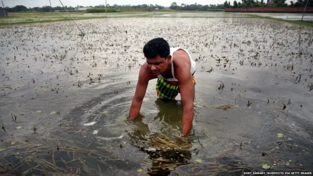 बांग्लादेश में इस साल आई बाढ़