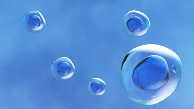 मानव कोशिकाएं